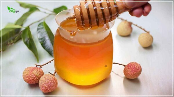 প্রিমিয়াম অর্গানিক লিচু মধু (Organic Lychee Honey - Glass Jar)